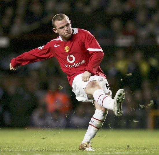 展的重要組 展的重要組